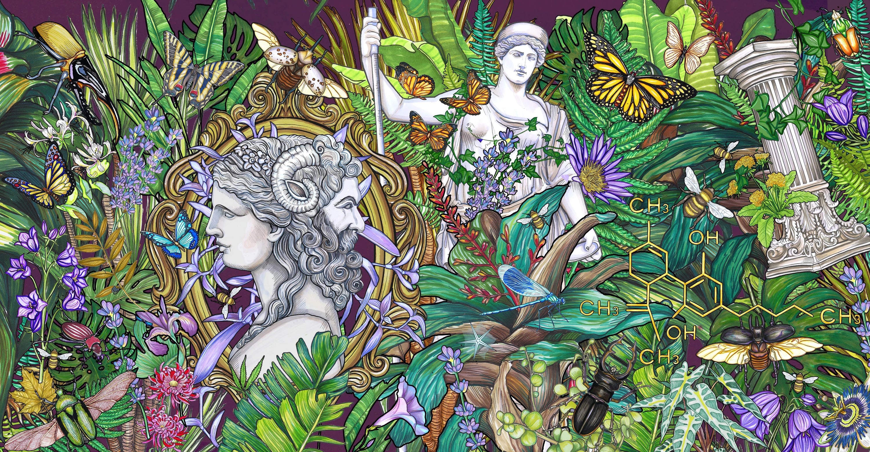 IANNUA: ¿quiénes somos?